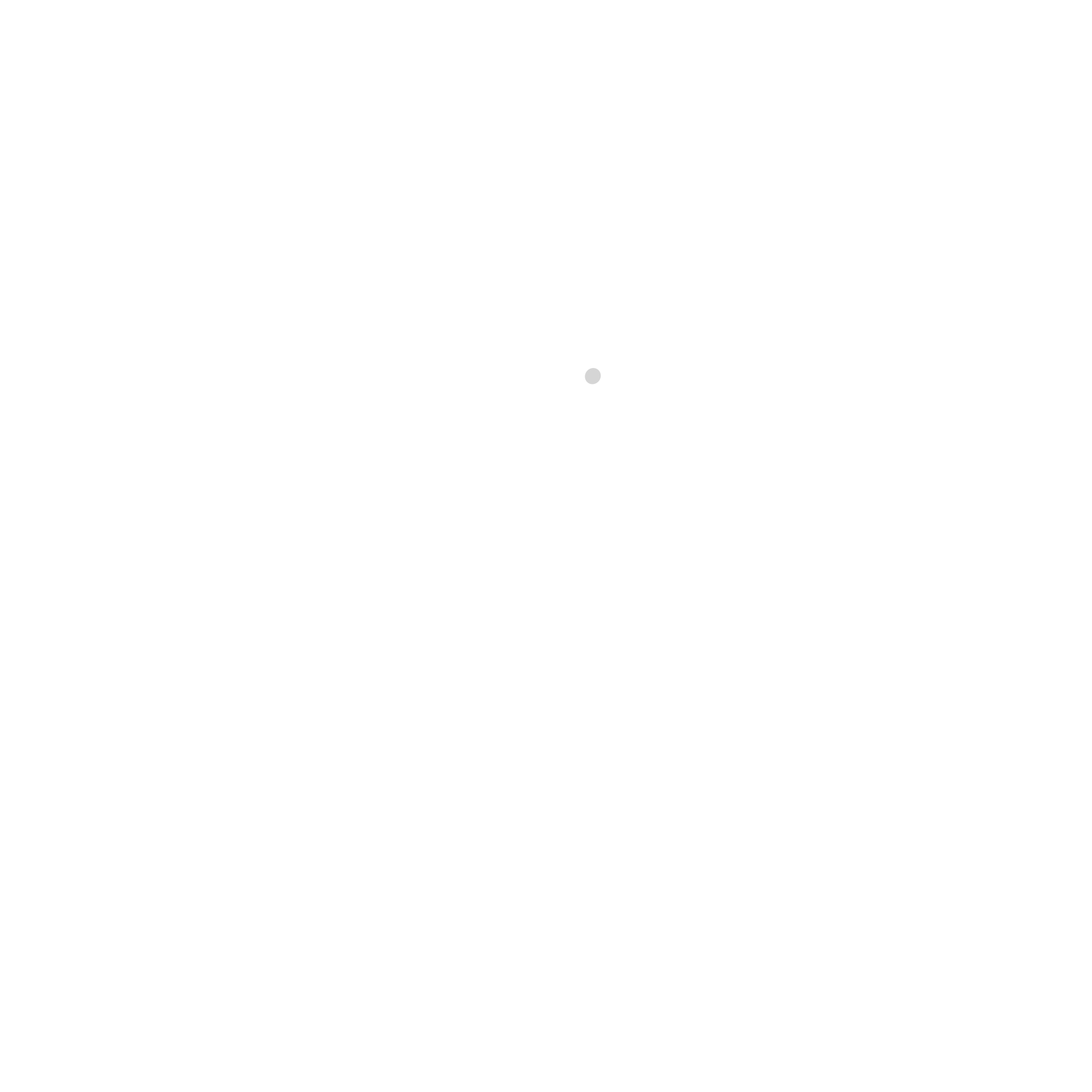 logo vpo white